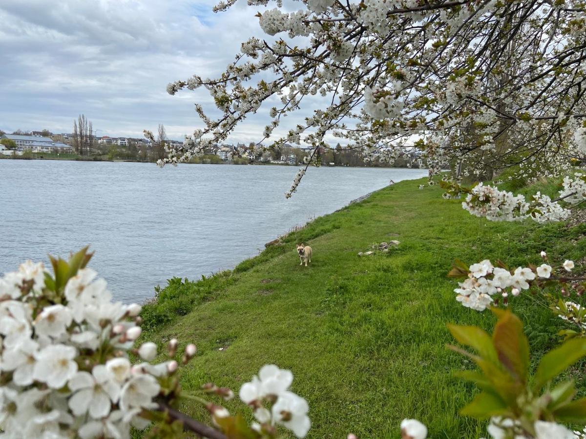 Вілла Lieblingsplatz Koblenz Кобленц Екстер'єр фото